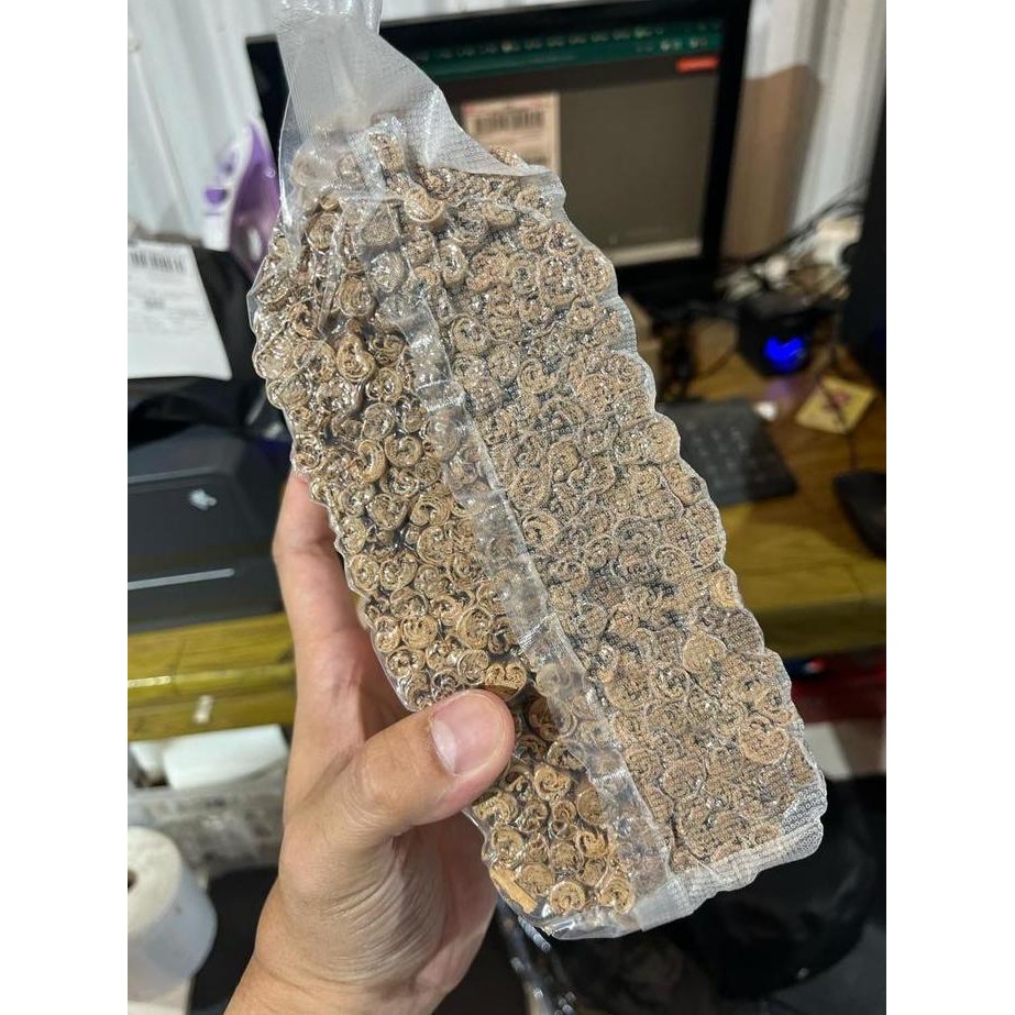 

Diskon! Kayu Manis Ceylon Import Sri Lanka Cinnamon 50 Gram Premium