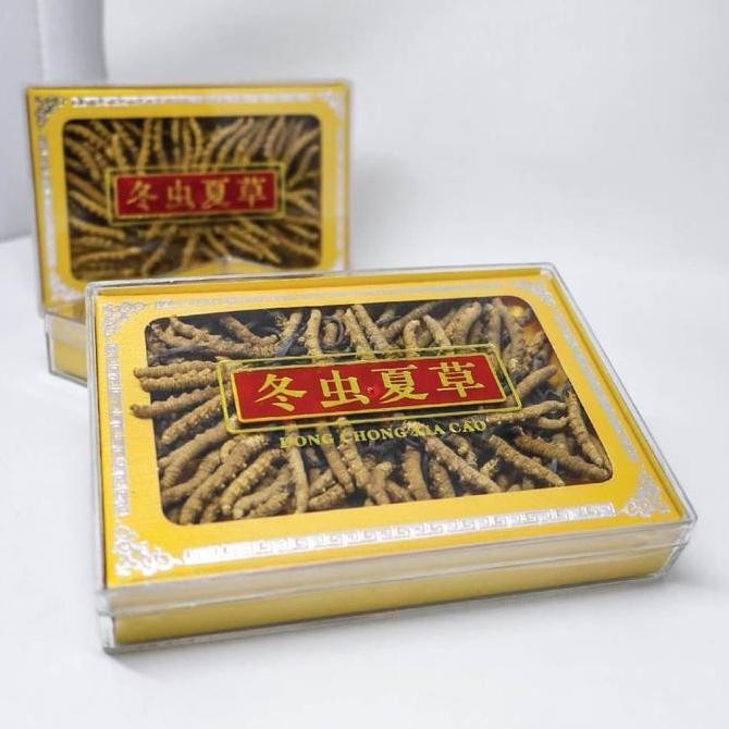 

TERMURAH - Cordyceps Special Grade ()