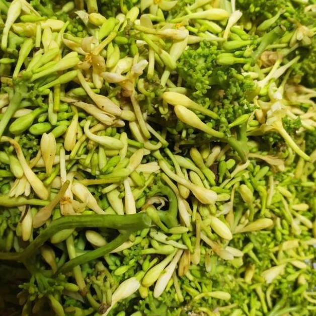 

Bunga Pepaya 1 kg aSt