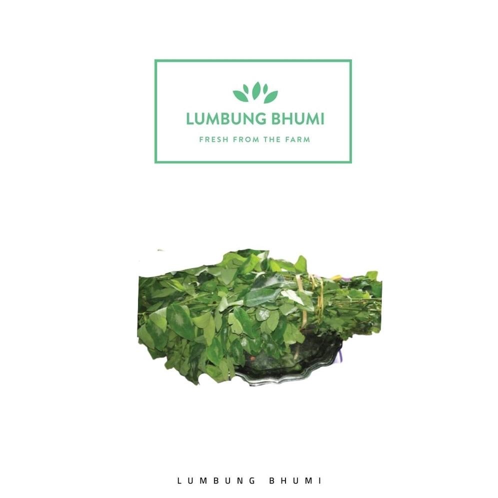 

Lumbung Bhumi - Daun Katuk 500 Gr ( Sayur Curah ) aSt