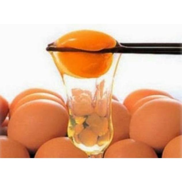 

Telur Omega 30 Butir Rasa Gurih Kuning Orange aSt