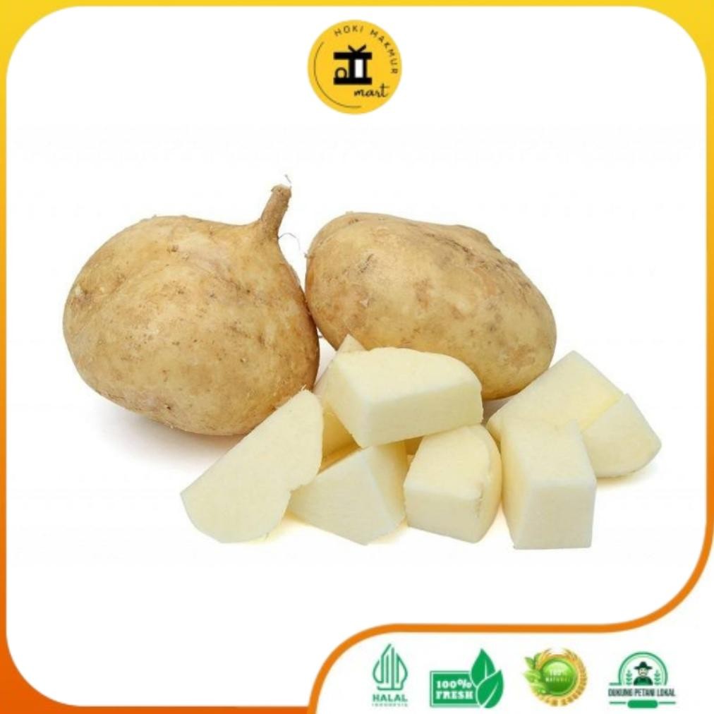 

BENGKOANG PREMIUM SUPER 1 KG || BENGKUANG aSt