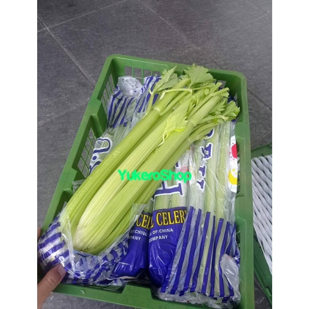 

Celery Stick Import / Seledri Impor Fresh per 10 KG aSt