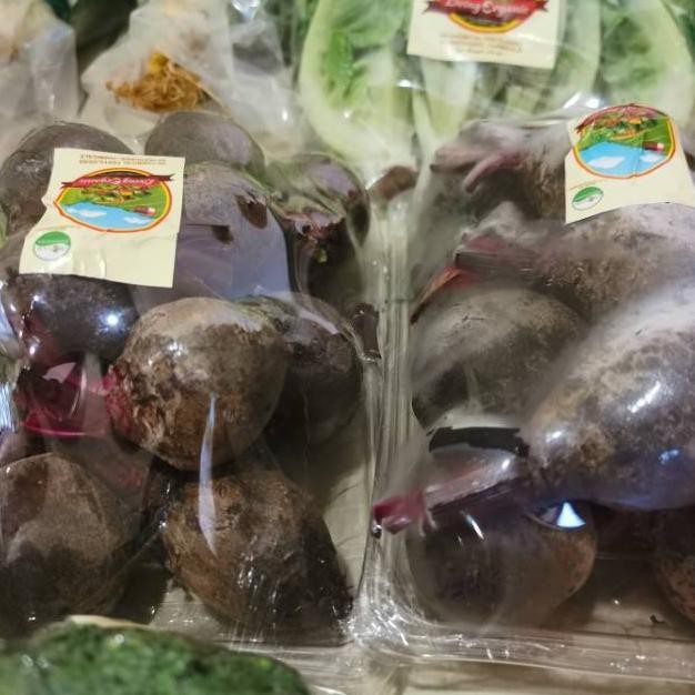 

Bit || Beet Root 500gr Sayuran Organik aSt