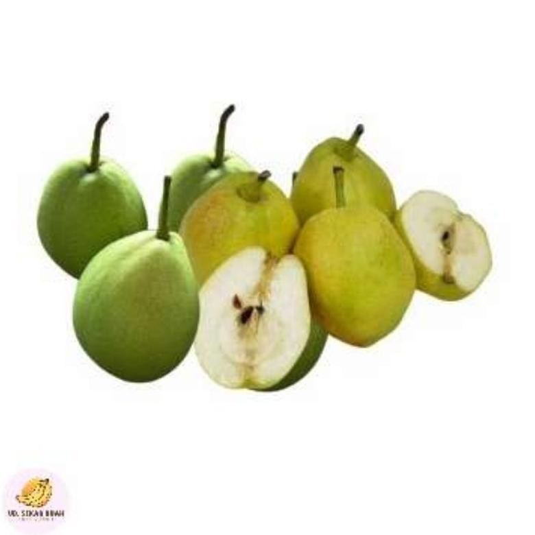 

[KIRIM INSTAN] PEAR XIANG LIE HIJAU 500g-1kg aSt