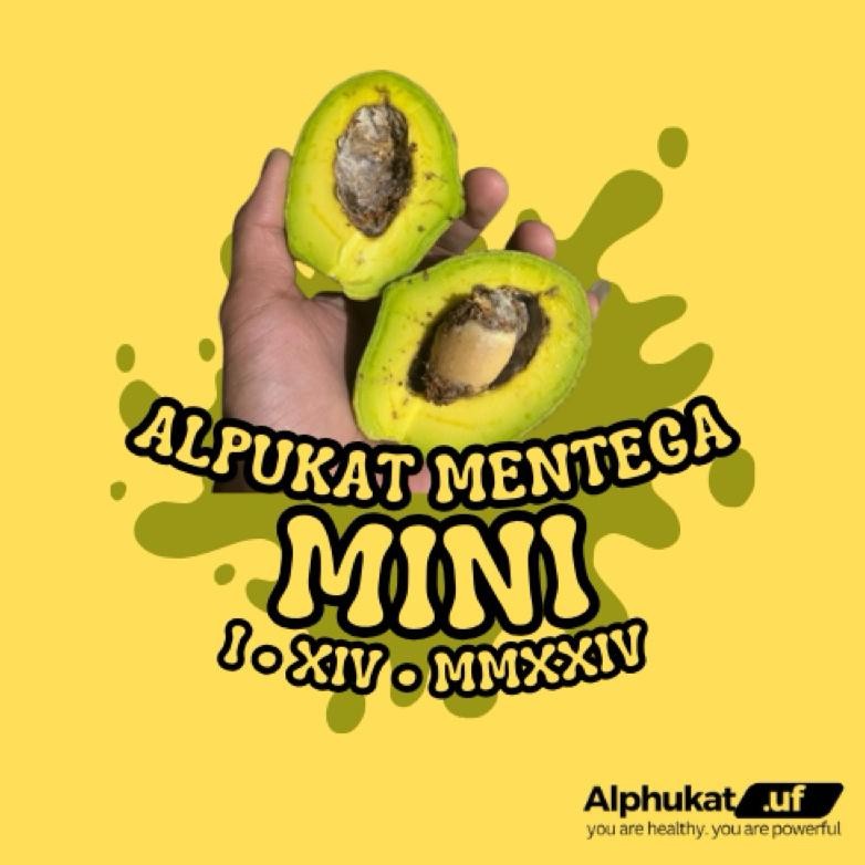 

Alpukat Mentega Mini Bergaransi - Alphukat.uf aSt
