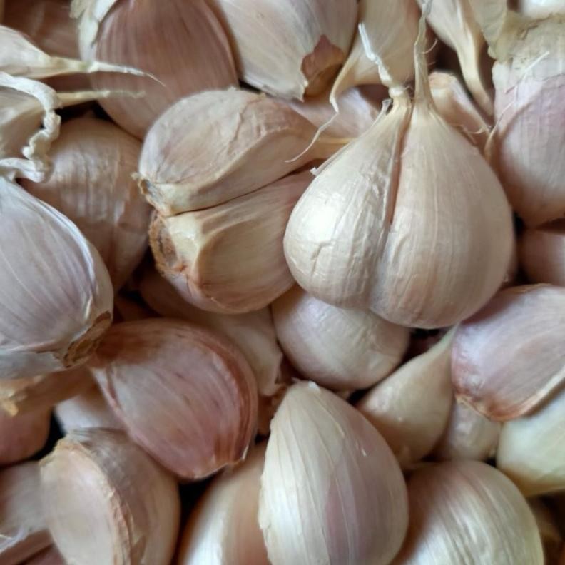 

Bawang Putih Kating Kupas Bersih 1KG aSt