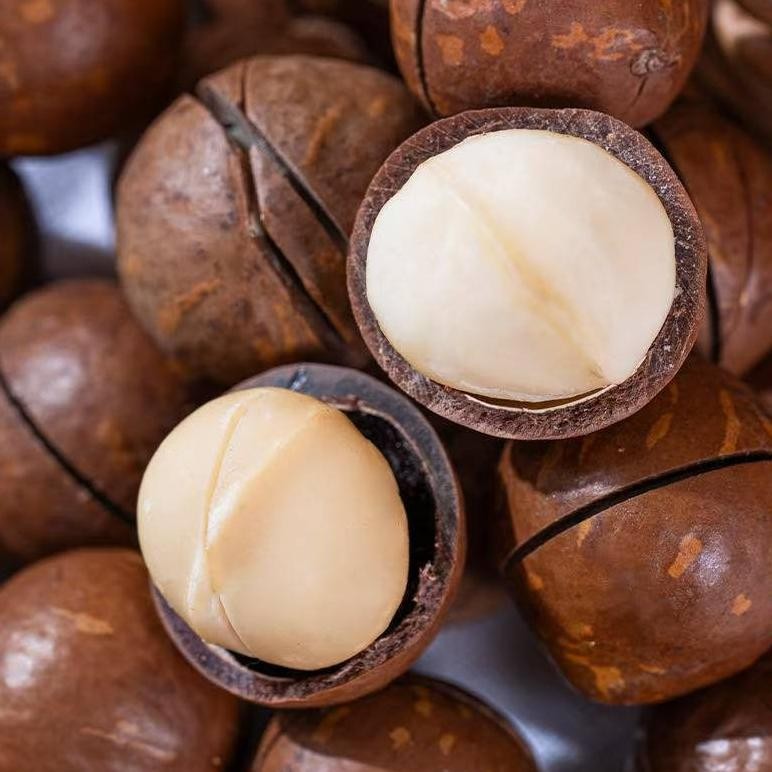 

[HALAL] kacang macadamia/kacang macadamia roasted/kacang macadamia panggang/kacang hawai/250g aSt