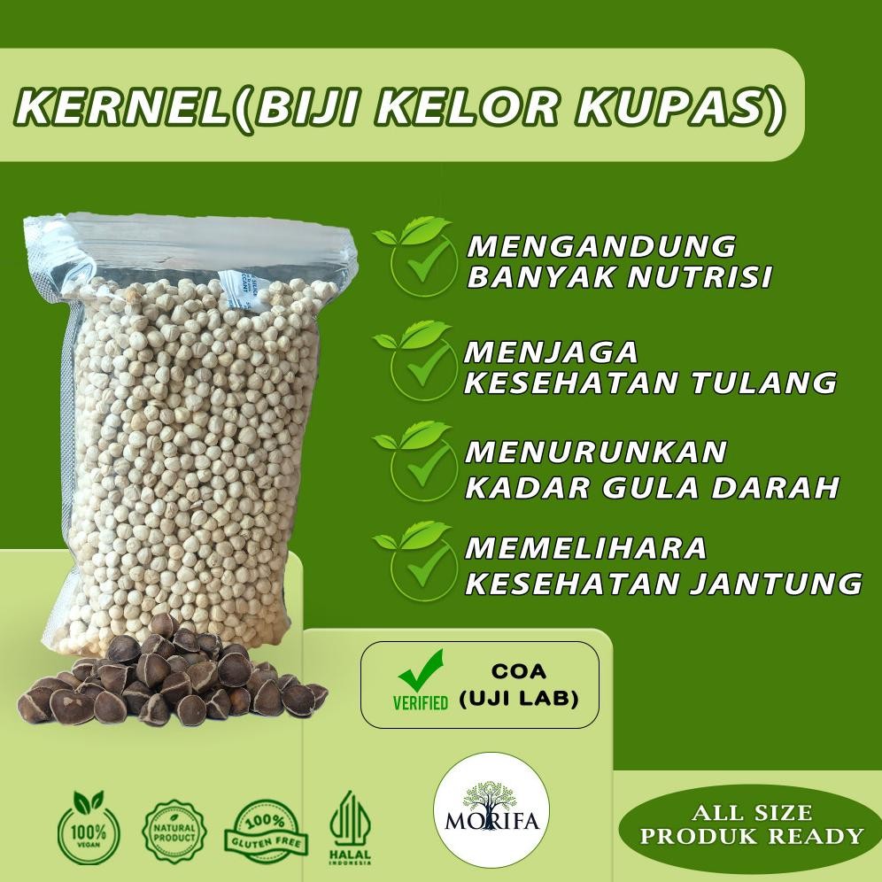 

Biji Kelor Kupas Organik Kernel Moringa Seeds Kualitas Export Premium Vacuum aSt