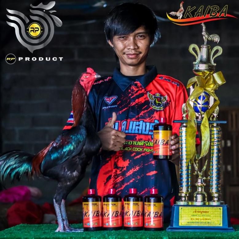 Berkualitas Arak Gosok Kaiba Khusus Ayam Laga Prermium