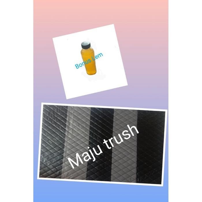 cover plafon mobil L300 pick up