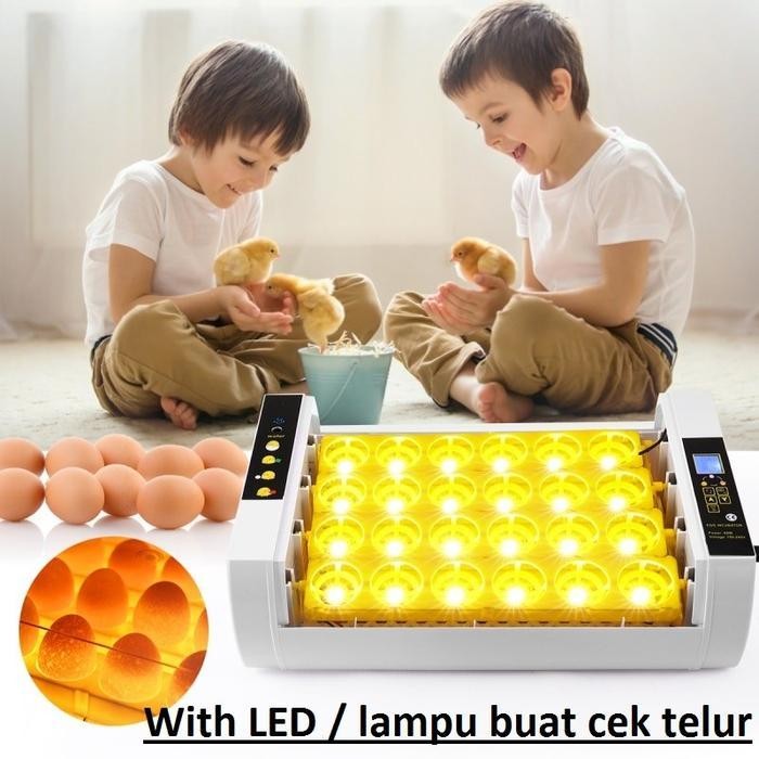 ATS Inkubator Mesin Penetas Telur reptil kura kura burung ayam punyuh