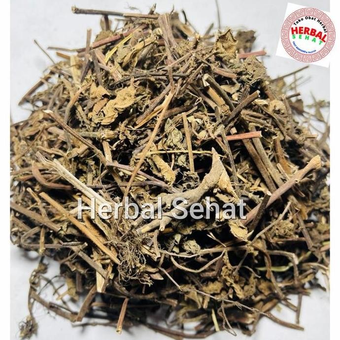 

Baru Daun Cincau Hitam Kering 1kg Cincau Lengkong Siap Seduh Herbal