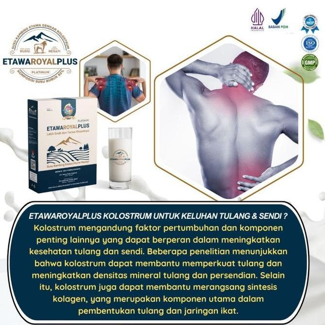 

Promo Etawaroyal Platinum Susu Bubuk Etawa Dengan Kolostrum Untuk Keluhan Pernafasan, Ashma, Sesak Nafas, Nyeri Sendi, Rematik & Pegal Linu Kemasan 250Gram Paekt 3 Box