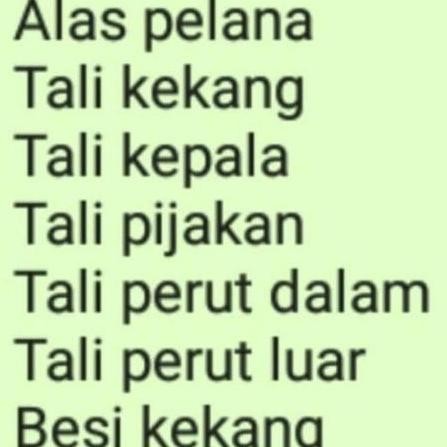 (Allthebest) Pelana Kuda Kulit halus