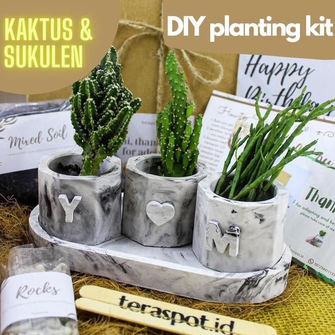 Ready Planting Kit Kaktus Sukulen DIY Menanam Hadiah Hampers Souvenir