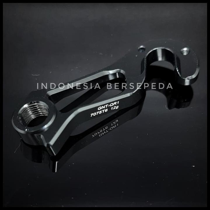 Direct Mount Derailleur Hanger For Giant TCR ADV New Propel Devy QR