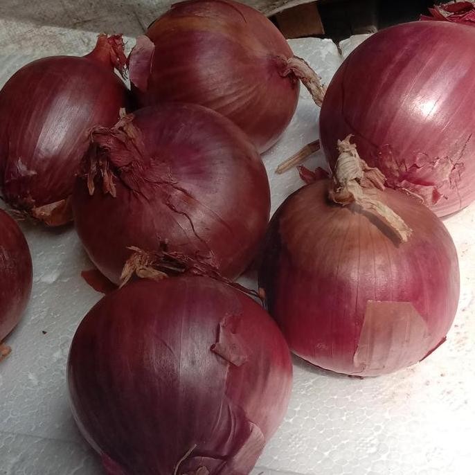 

bawang bombay merah NZ/unggu ms