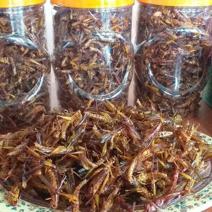 

RPS belalang goreng kemasan toples sonice 50rb an