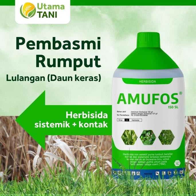 Herbisida Obat Rumput Liar Berdaun Keras Lulangan Amufos