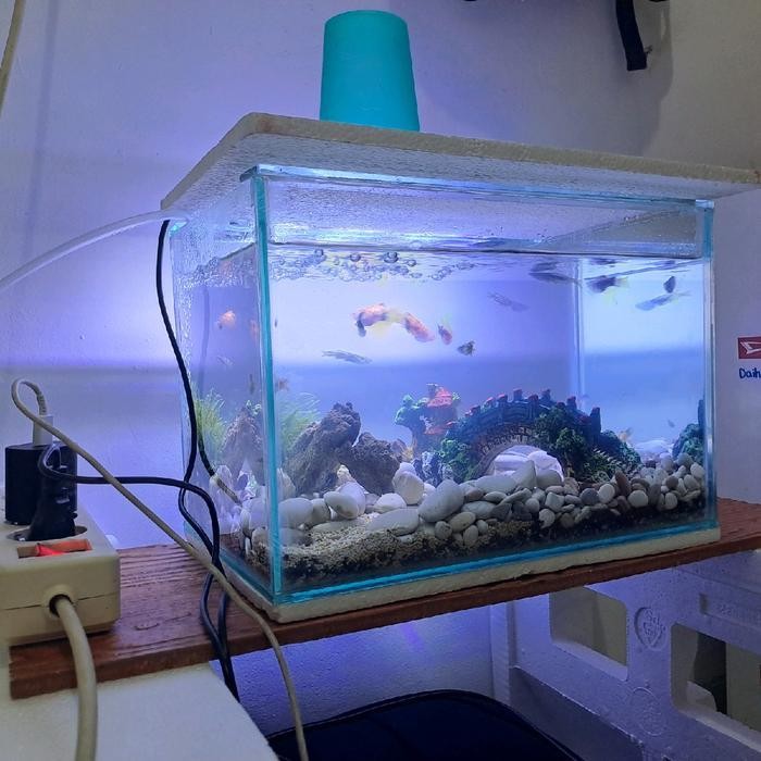 RA Aquarium Mini, udah bonus Aksesoris Dan Filter Aquarium