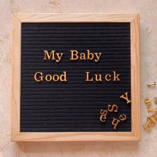

Premium DIY Changeable Felt Letter Board 10x10 Inches With Gold Letters