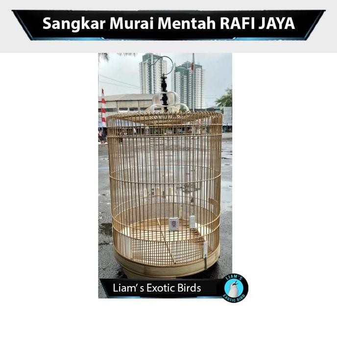 TERMURAH - Sangkar Murai Mentah RAFI JAYA Free Karpet Cepuk Tangkringan