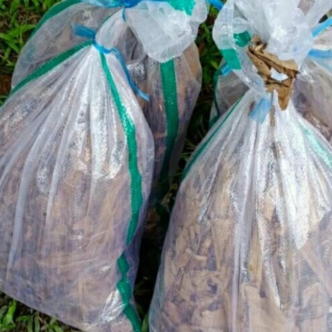 TERMURAH - jangkrik fress hidup karung