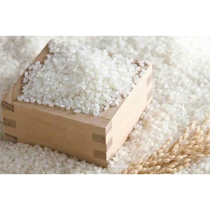 

Koshihikari Japan Rice Beras Pulen Jepang untuk Sushi