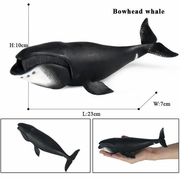 Mainan Ikan Paus Bowhhead Whale