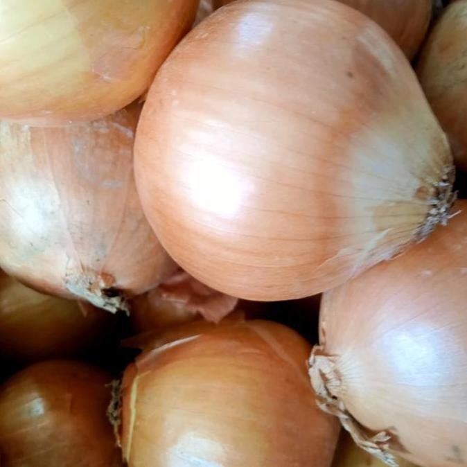 

JH8 Bawang Bombay Segar 1kg Murah - Produk Terbaik untuk Masakan - Bahan, Rempah, Pedas, Spices, Udang, Herbal Kecombrang