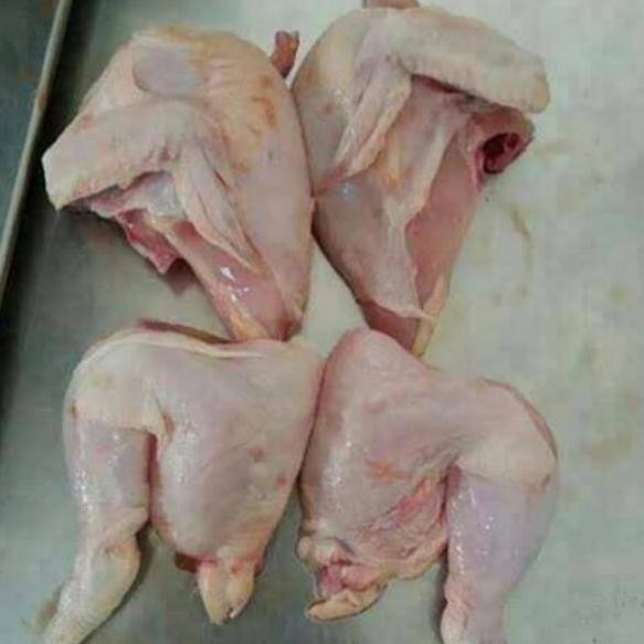 

JH8 Ayam TG Segar 500gr (paha)