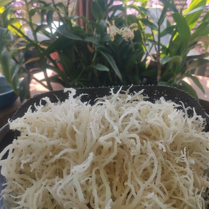 

JH8 Rumput laut 1kg kering normal spinosum putih bersih Food