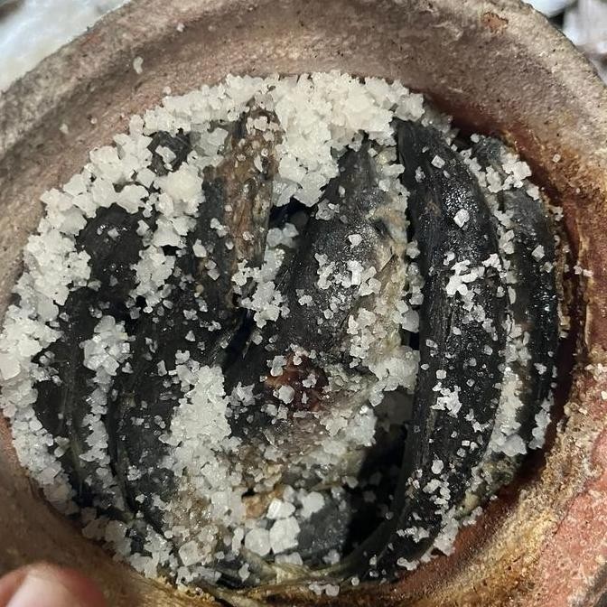 

JH8 Ikan pindang asin KECIL 1 kendil khas Tuban Food Pilihan Yang Lebih Sehat Dried Foods