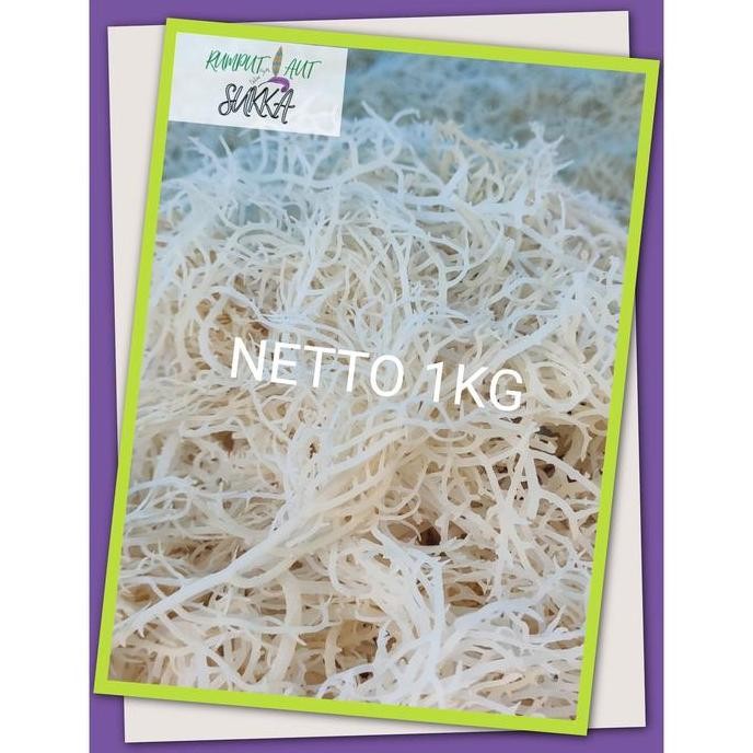 

RUMPUT LAUT KERING 1KG PUTIH BERSIH SEGAR GROSIR