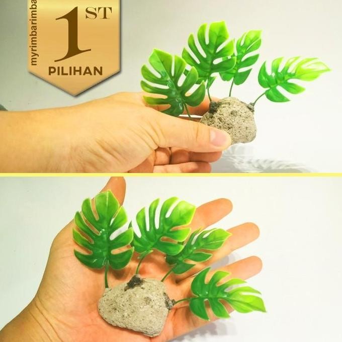 Paket 5 Tanaman Plastik Monstera Mini Hiasan Aquarium Aquascape Ikan Hias