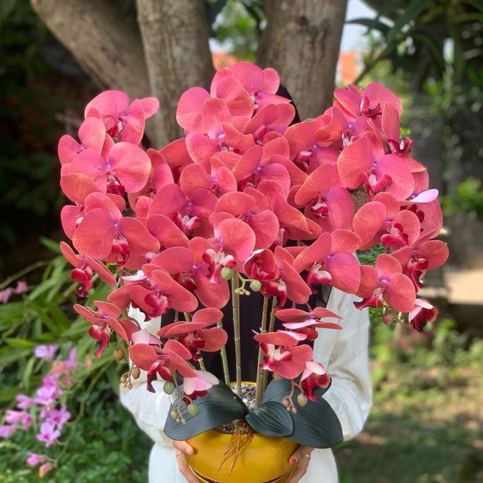 Anggrek Latex Jumbo 5 Cabang Vas Bola Gold & Hitam Dekorasi Pot Bunga Hiasan Plastik Kualitas Terbai