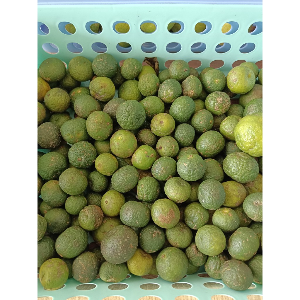 

Jeruk Limo Segar 250 gr