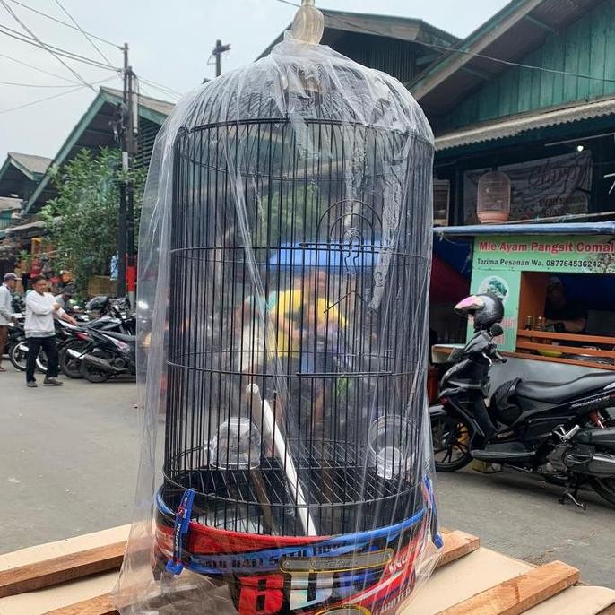 Sangkar Kandang Burung Lovebird BNR Decal 36 PVC Original Asli