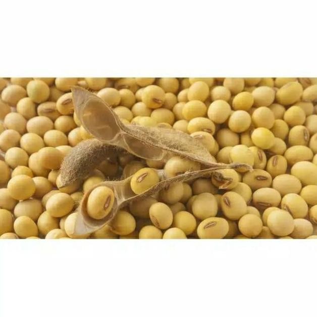 

Kacang Kedelai Murni Import Premoum Organik Mpasi Vakum Kacang Kedele