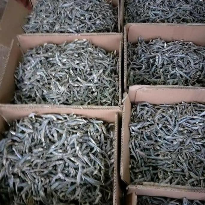 

Ikan Asin Teri Jengki Vip 1Kg
