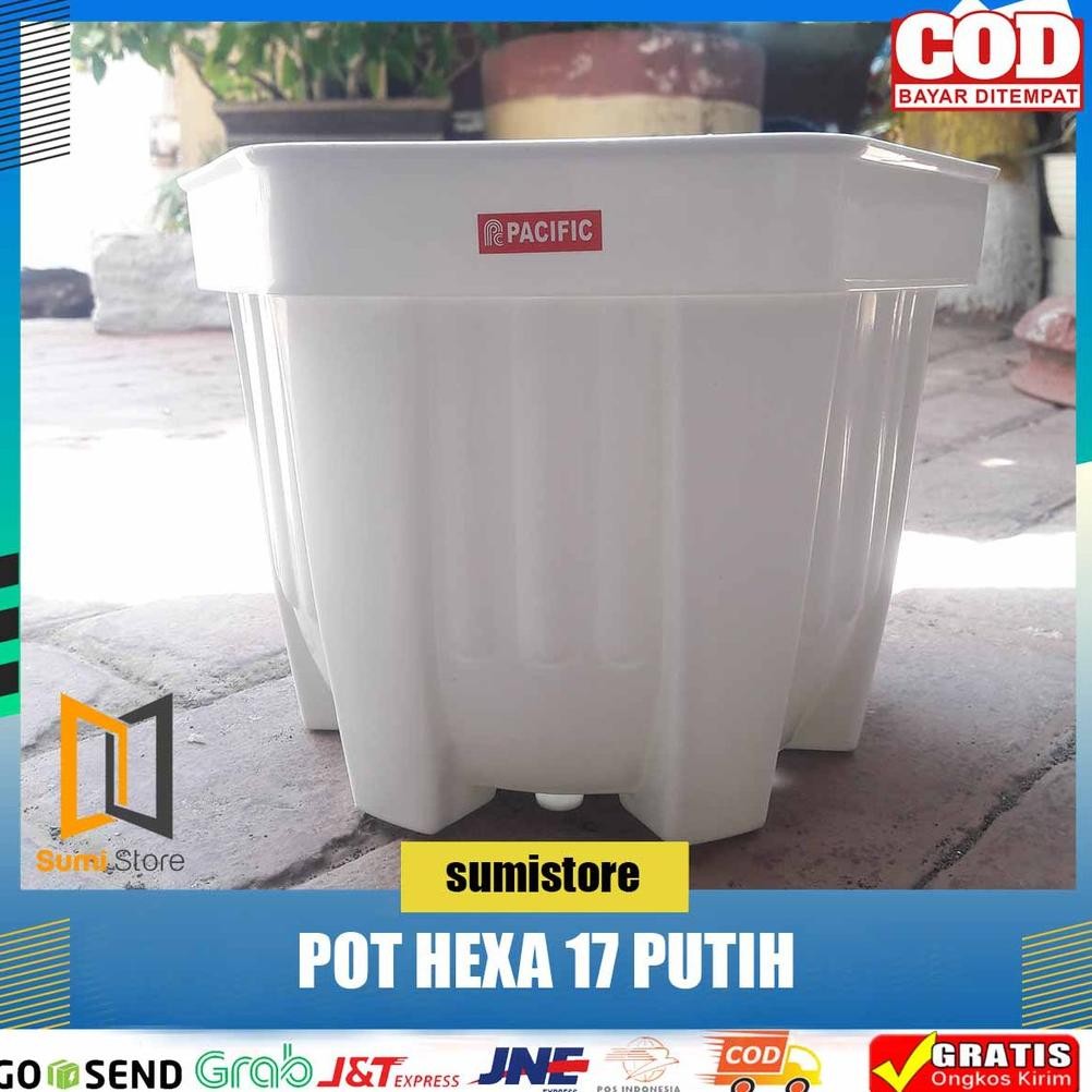 Pot Pacific Segi Enam 17 Hexa Putih/ Pot Hexa 17 Stok