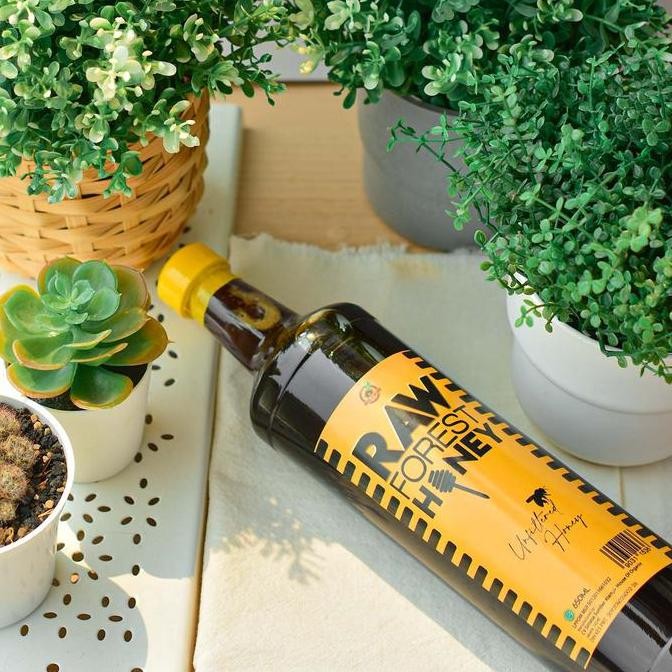 

[ MDstore ] House Of Organix Raw Forest Honey 650 Ml madu murni
