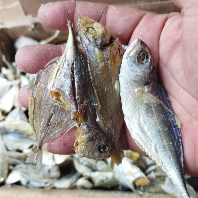 

Ikan Asin Campur / Sampah / Sapoh 250 Gr Cap Toke Bagan Siapi Api