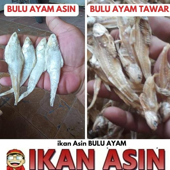 

Ikan Asin Bulu Ayam 250 Gr Cap Toke Bagan Siapi Api
