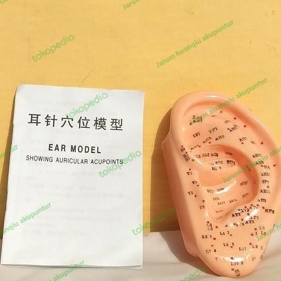 patung akupunktur telinga / patung telinga akupuntur
