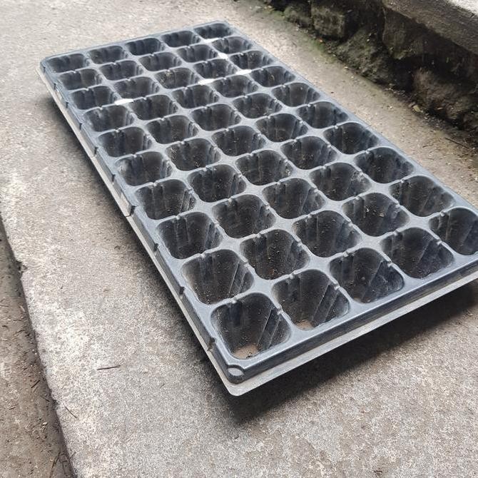 Tray Semai Anggrek 50 Lubang - Pot Bibit Benih