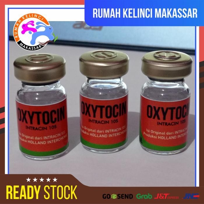 Intracin 10S Obat Lahiran Hewan