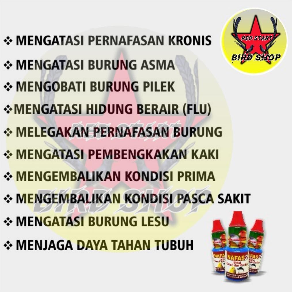 Sale Nafas 2 Dr. Edi Boedh Obat Burung Kenari Lovebird Murai Atasi Sakit Pernafasan Kronis Serak Kek