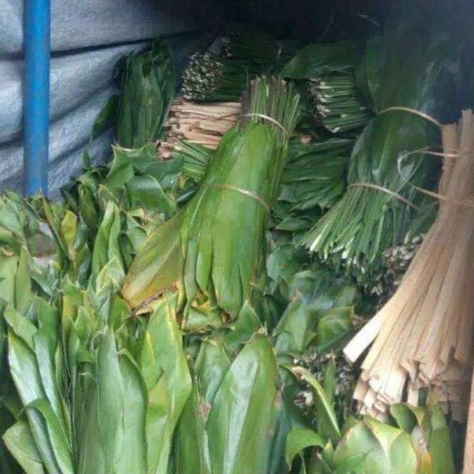 

Promo BUNGKUS BACANG/BAKCANG 1KG DAUN HANJUANG ATAU ANDONG COD